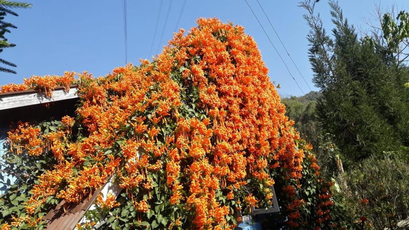 Sunakhari Homestay, Mirik, India