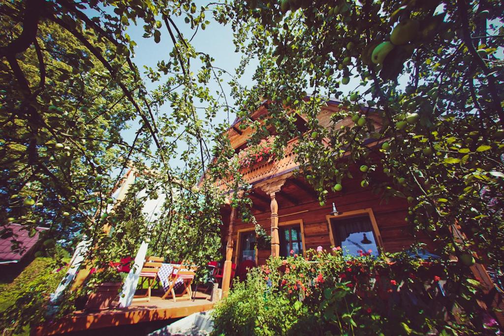 Miętowy Anioł, Poland