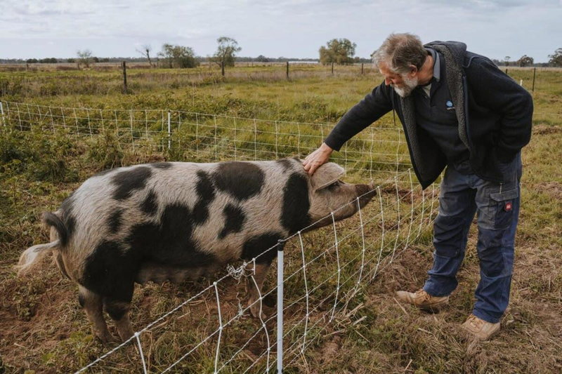 Organic Farm Stay by Tiny Away, Numurkah, Australia
