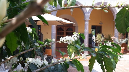 Casa Aroma de Café, Coatepec, Mexico
