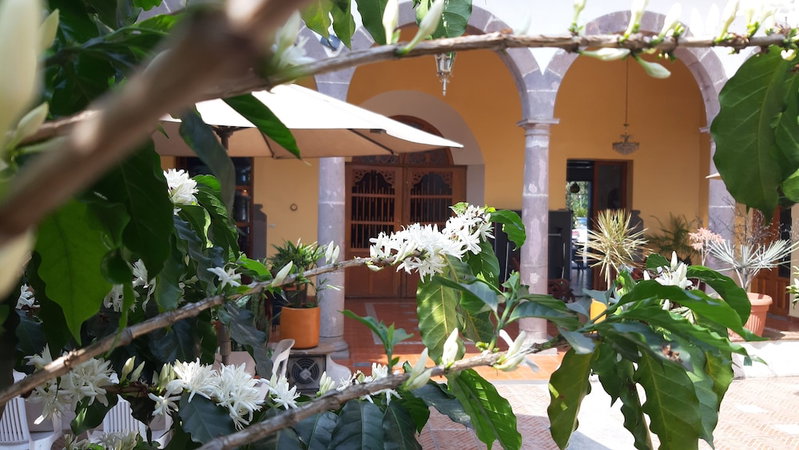 Casa Aroma de Café, Coatepec, Mexico