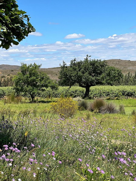 Penhill Farm West Grange, Nuy, South Africa