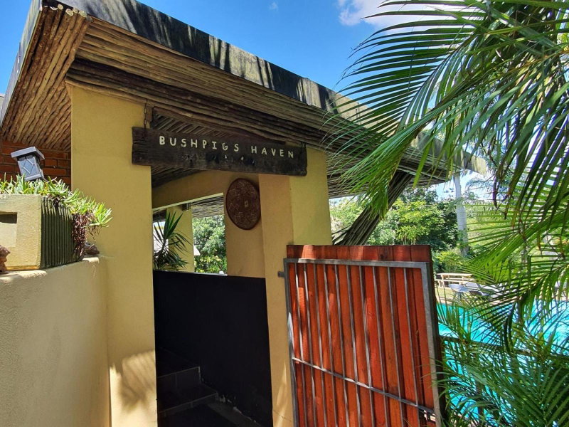 Bushpigs Haven, St Lucia, South Africa