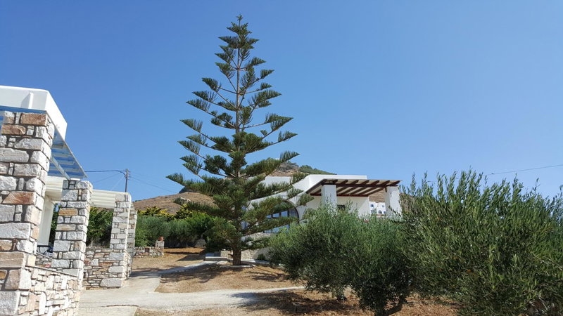 Panorama studios in PisoLivadi, Piso Livadi, Greece