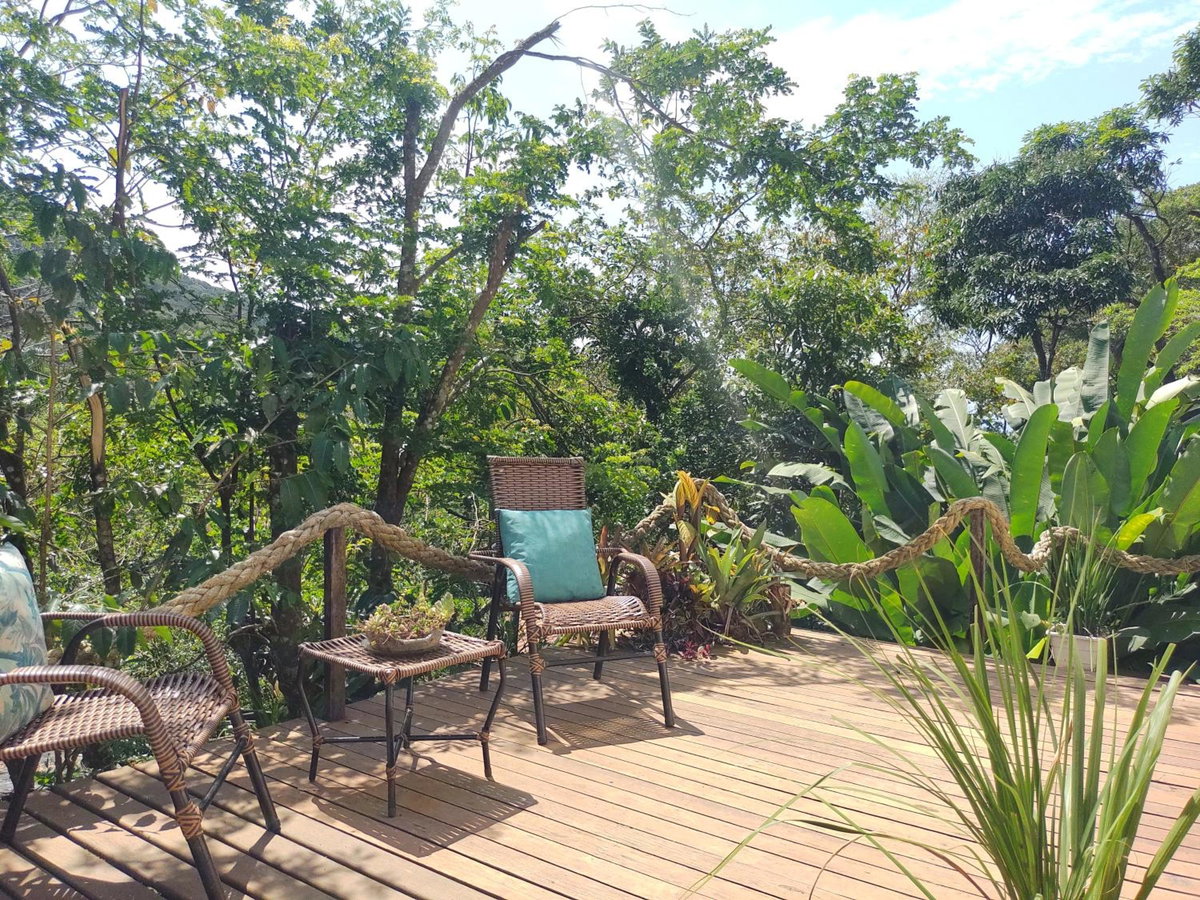 Suites casa do indio jungle, a melhor vista da floresta, Brazil