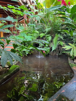 Pousada Refugium, Itacaré, Brazil
