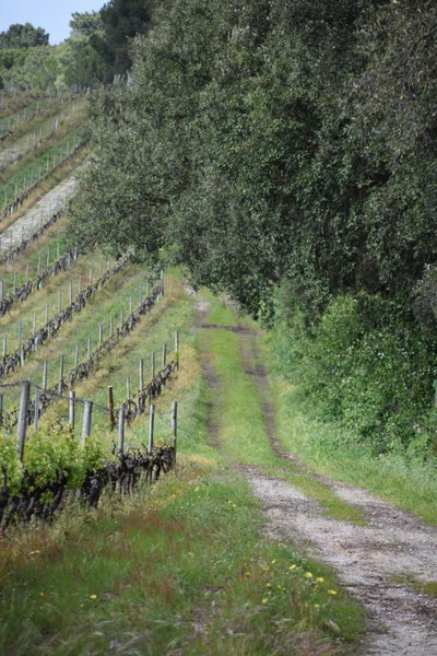 Quinta De Catralvos, Azeitao, Portugal