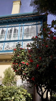 Tapada Flats, Viseu, Portugal