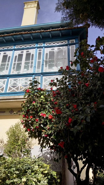 Tapada Flats, Viseu, Portugal
