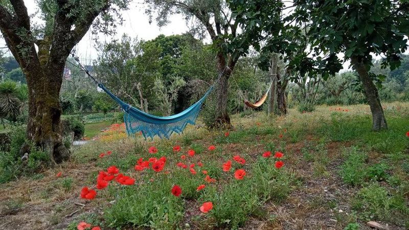 Tapada Flats, Viseu, Portugal