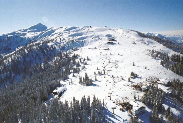 Appartement Alpenfex, Flachau, Austria