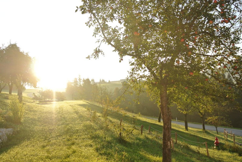 Kornihof, Waidhofen an der Ybbs, Austria