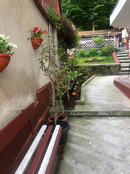 Vila Zeno, Braşov, Romania