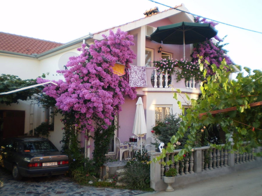 Apartments Nada, Bibinje, Croatia