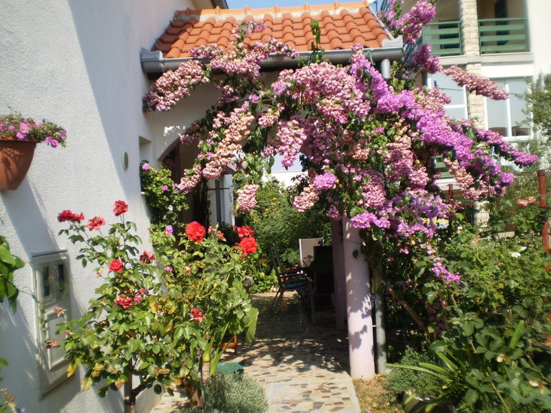 Apartments Nada, Bibinje, Croatia