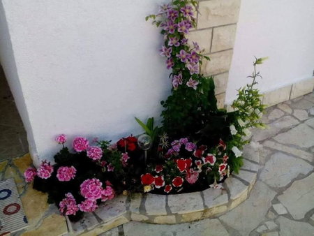 Apartment Megy, Vir, Croatia