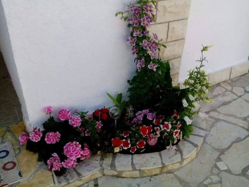 Apartment Megy, Vir, Croatia