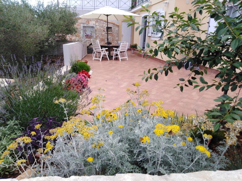 Long Island Olive Apartment, Sali, Croatia