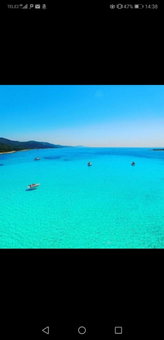 Long Island Olive Apartment, Sali, Croatia