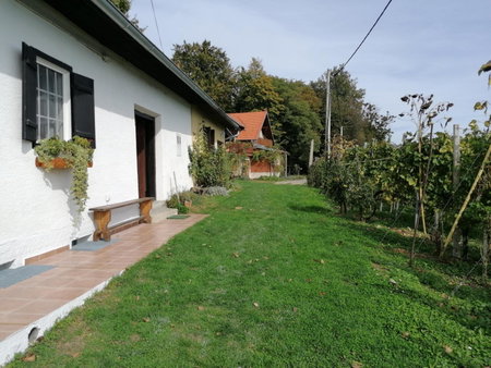 Rural house above the forest, Gornja Voća, Croatia