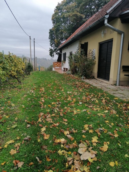 Rural house above the forest, Gornja Voća, Croatia
