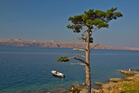 Apartment Carlitos, Karlobag, Croatia