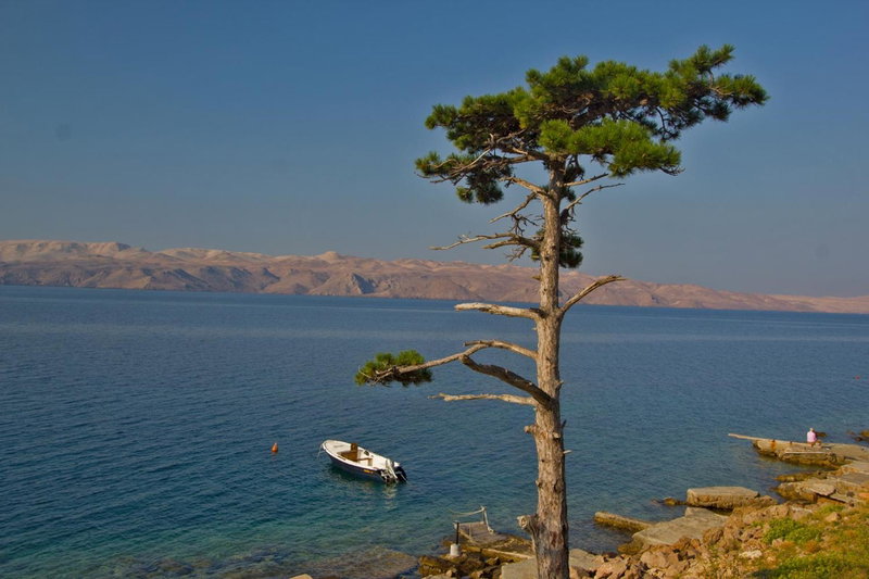 Apartment Carlitos, Karlobag, Croatia