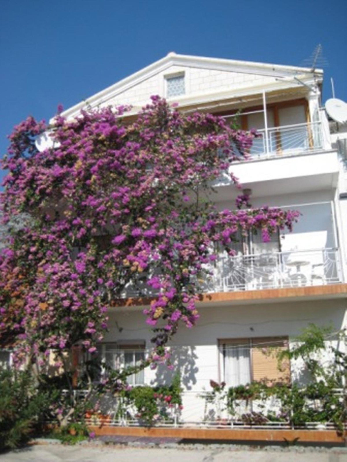 Apartman Graciela Perfect location Gradac, Croatia
