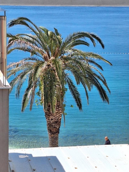 Apartman Graciela Perfect location Gradac, Gradac, Croatia