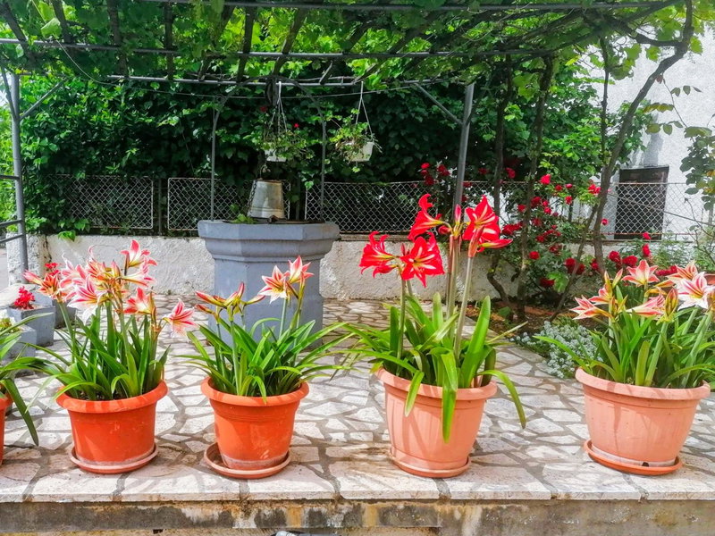 Apartman Lavanda sa bazenom i okućnicom 4*, Hreljin, Croatia