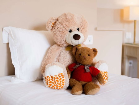Mercure Moulins Hotel de Paris, Moulins, France