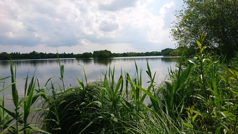 Terres de France - Natura Resort Pescalis, Moncoutant, France