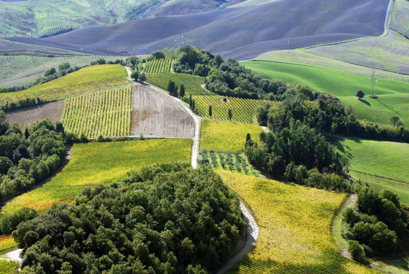 Fattoria Fibbiano, Terricciola, Italy