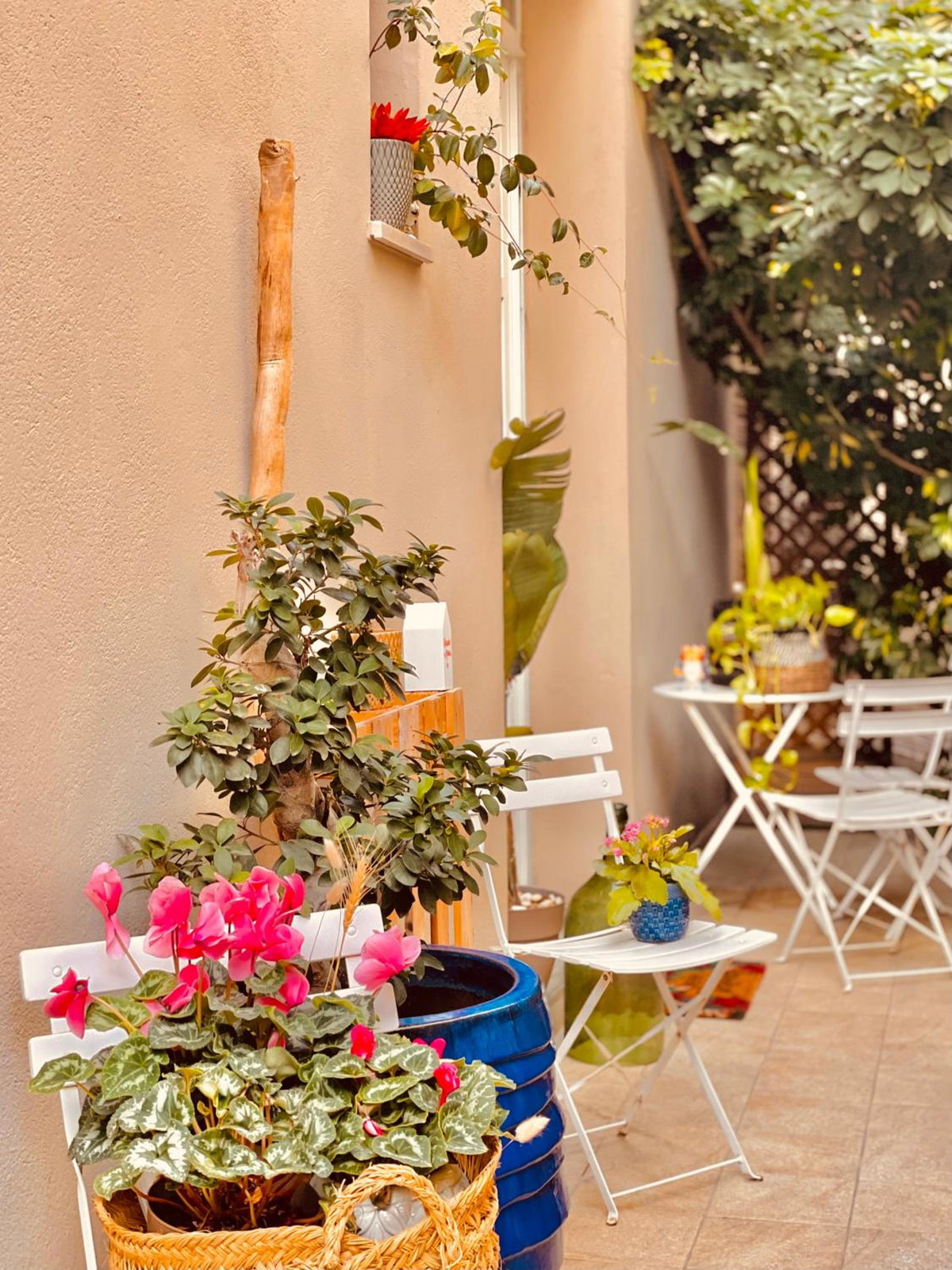 Futura Room&relax, Italy