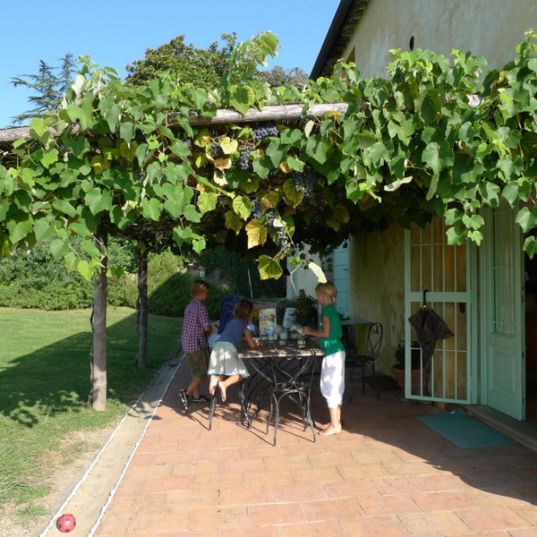 Azienda Agricola Fabbrica Di San Martino, Lucca, Italy