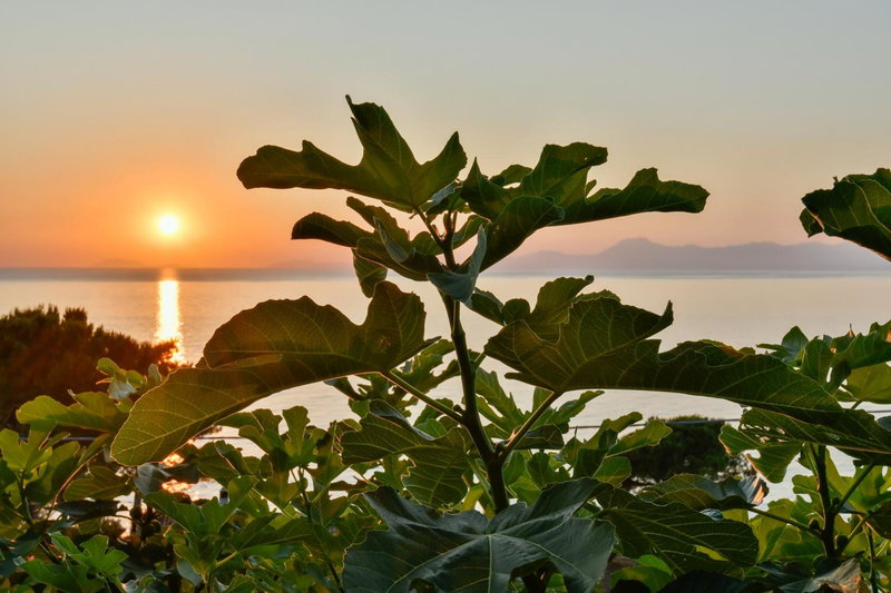 Albeca Relais, Castellabate, Italy