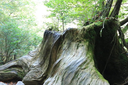 Miyanouraso, Yakushima, Japan