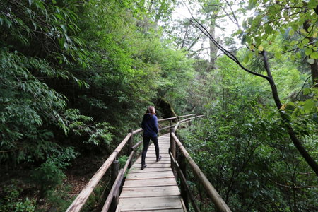Miyanouraso, Yakushima, Japan
