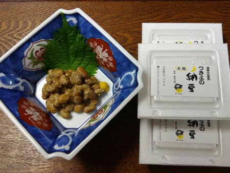 Oyado Matsubaya, Minakami, Japan