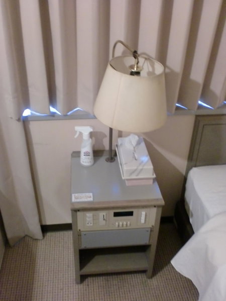 Tsuyama Central Hotel Annex, Tsuyama, Japan