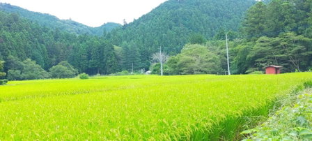Guest house with host Takao SORA- Vacation STAY 13000, Hachioji, Japan