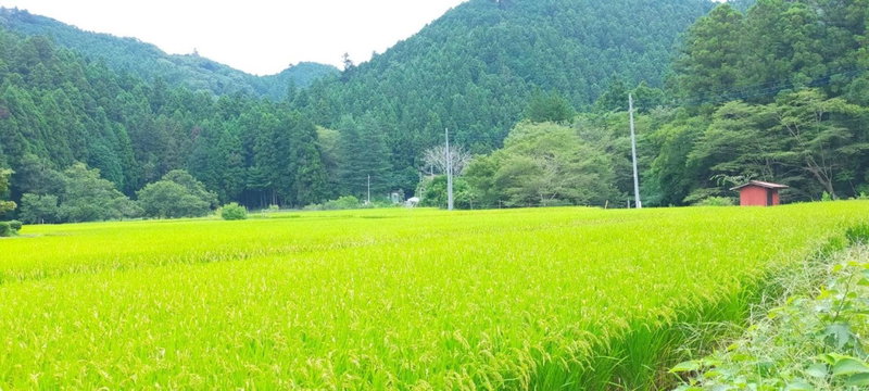 Guest house with host Takao SORA- Vacation STAY 13000, Hachioji, Japan