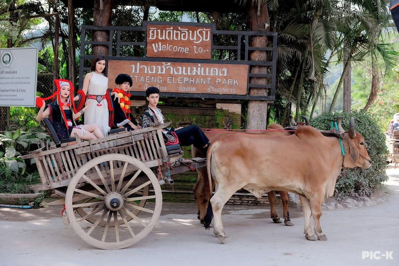 Tung Lakorn Farm, Mae Taeng, Thailand