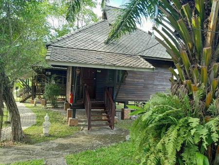 The Forest Hill Cafe & Homestay, San Sai, Thailand