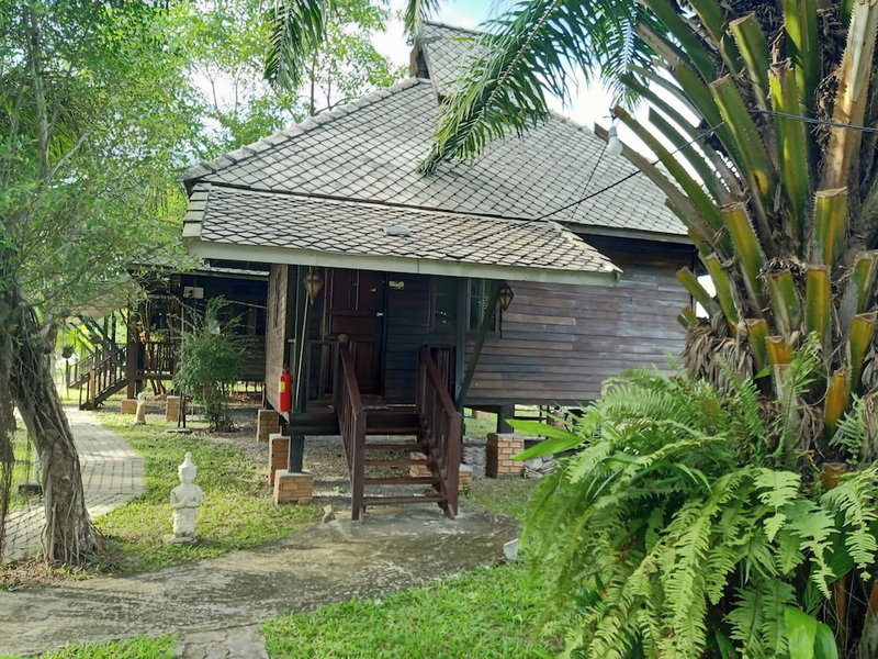 The Forest Hill Cafe & Homestay, San Sai, Thailand