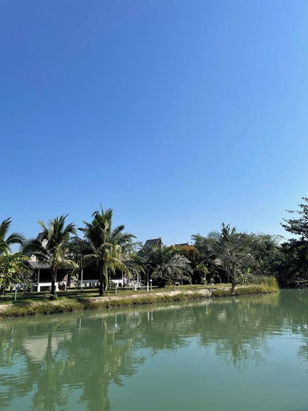 The Forest Hill Cafe & Homestay, San Sai, Thailand