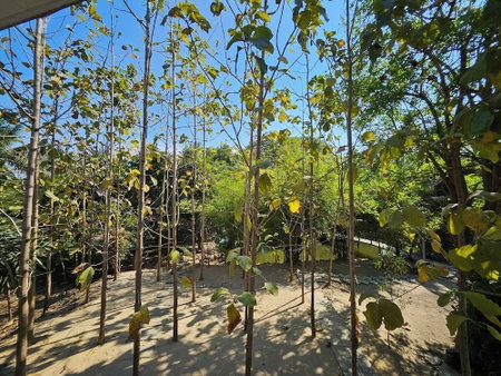 Punnattha House by Peema Villa, U Thong, Thailand