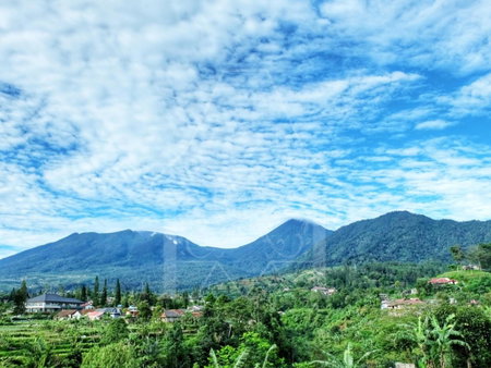 Wisma Halim Villas & Conference, Cianjur, Indonesia