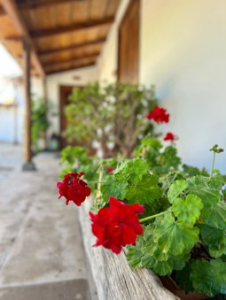 La Paredita Casa Taoro, Tanque, Spain