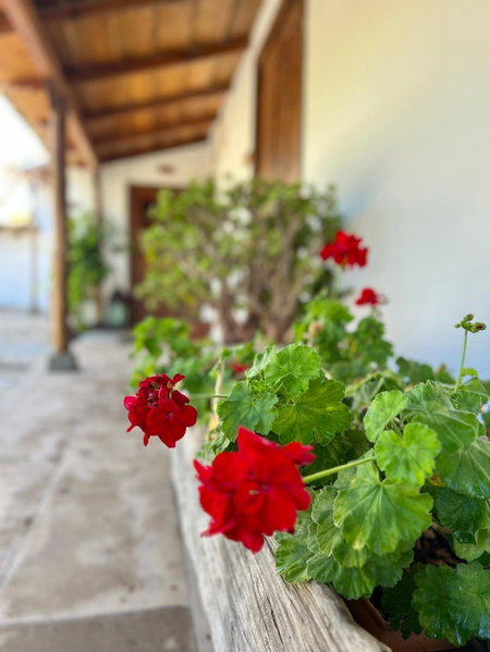 La Paredita Casa Taoro, Tanque, Spain